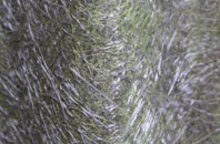 Streetly End fibreglass roof work